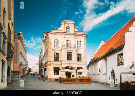 Tallinn, Estland. Museum von Marzipan in der Nähe von Town Hall Square. Ausstellung Museum erzählt die Geschichte der Delikatesse vom Augenblick seiner Erscheinung in Estland Un Stockfoto