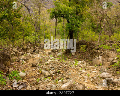 Die Schlucht beginnt in der Nähe der Feder am Thak und endend am Sarda Fluss, von dem Weg von Chuka zu Thak, Kumaon Hügel, Uttarakhand, Indien betrachtet Stockfoto