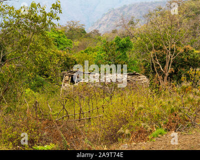 Zu Fuß durch die verlassenen Thak Dorf, das Dach eines Hauses Ruin durch den Dschungel, versenkte, Kumaon Hügel, Uttarakhand, Indien Stockfoto