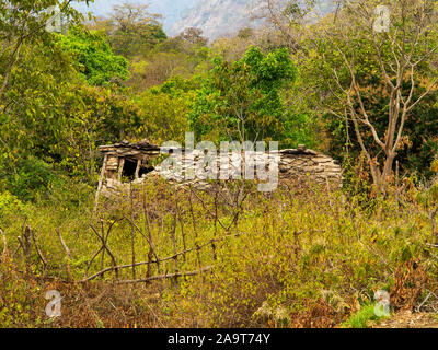 Zu Fuß durch die verlassenen Thak Dorf, das Dach eines Hauses Ruin durch den Dschungel, versenkte, Kumaon Hügel, Uttarakhand, Indien Stockfoto