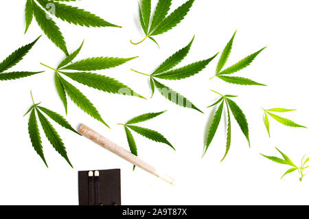 Cannabis leaf Anordnung auf weißem Hintergrund Stockfoto