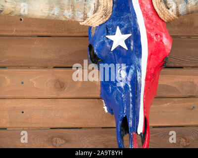 Texas Longhorn Schädel mit Lone Star State Flag lackiert und montiert auf Holz- wand. Dekoration für patriotische Texans. Stockfoto