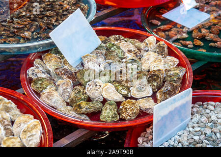 Verschiedene Meeresfrüchte in der Fischmarkt, Muscheln, Austern. Marine essen. Stockfoto