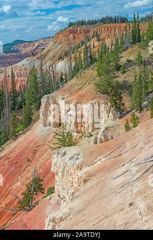 Anmutige Farben unter den Kiefern in Cedar Breaks National Monument in Utah Stockfoto