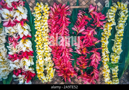 Zeichenfolgen der frische Blumenkränze von vielen bunten Sorten sind in Lei-maker Ständen verkauft und anschließend um die Hälse von Freunden oder der Familie zu sagen "Aloha" (hallo oder Auf Wiedersehen) als traditionelle Begrüßung oder Verabschiedung in den Pazifischen Inseln von Hawaii, USA. Orchideen und plumeria (FRANGIPANI) gehören zu den beliebtesten tropischen Blüten verwendet Blumenketten, lange haben die iconic Symbol der hawaiianischen Gastfreundschaft und Liebe zu machen. Stockfoto