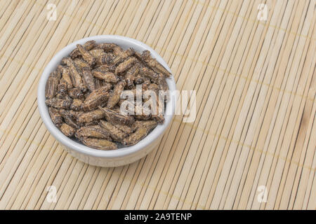 Essbare Insekten - gesalzene kleine Heimchen möglicherweise Gryllus assimilis - auf Bambus Matte. Entomophagy, essbare käfer, insekt Superfoods, Insekten als neuartige Lebensmittel Stockfoto