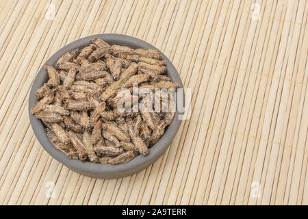 Essbare Insekten - gesalzene kleine Heimchen möglicherweise Gryllus assimilis - auf Bambus Matte. Entomophagy, essbare käfer, insekt Superfoods, Insekten als neuartige Lebensmittel Stockfoto