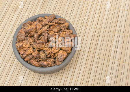 Gerichte der Essbare Insekten. Silkworm Puppen/Bombyx mori auf Fauxwood Hintergrund. Entomophagy, essbare käfer, insekt Superfoods, Insekten als neuartige Lebensmittel. Stockfoto