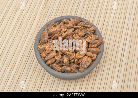 Gerichte der Essbare Insekten. Silkworm Puppen/Bombyx mori auf Fauxwood Hintergrund. Entomophagy, essbare käfer, insekt Superfoods, Insekten als neuartige Lebensmittel. Stockfoto