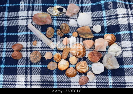 Gemischte Europäische Strand Muscheln und Kieselsteine im Süden von Frankreich. Abholung seashells beim Spaziergang am Strand entlang. Sammlung von Muscheln am Strand Decke. Stockfoto