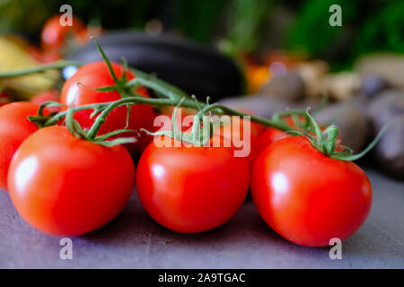 Schöne frische rote Tomaten von Gemüse mit verschwommenen Hintergrund umgeben Stockfoto
