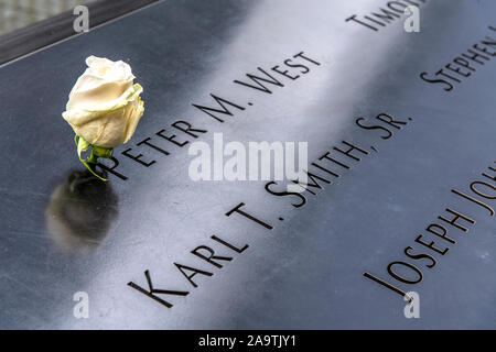 Weiße Rose an einem der Pools der Nationalen September 11 Memorial and Museum, Manhattan, New York, USA links Stockfoto