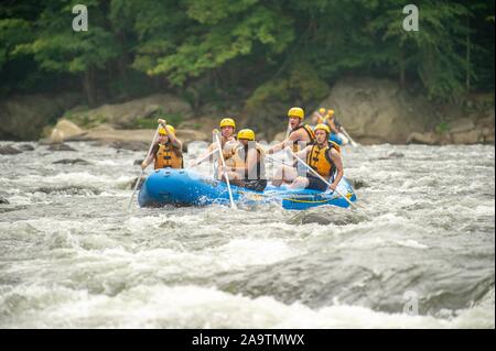 Johns Hopkins University Studenten nehmen an einer Orientierung Whitewater Rafting Trip vor Beginn der Studien an der Universität, 23. August 2010. Vom Homewood Sammlung Fotografie. () Stockfoto