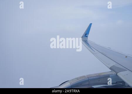 NEWARK, NJ-11 Nov 2019 - Blick auf die blauen und weißen Winglet eines Airbus A321 Neo auf dem französischen Business Class nur Airline La Compagnie (B0). Stockfoto