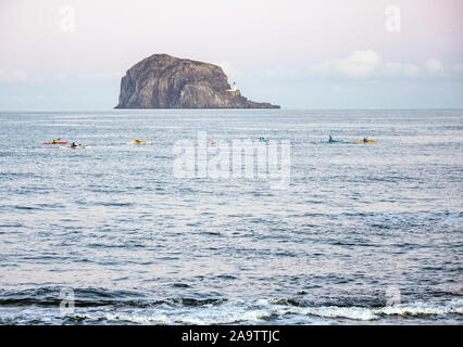 Kajaks paddeln in der Nähe von North Berwick mit dem Bass Rock im Hintergrund. Stockfoto