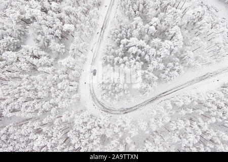 Auto auf der Straße im Winter durch einen Wald mit Schnee bedeckt. Luftaufnahmen von einer Straße im Winter durch einen Wald mit Schnee bedeckt. High Mountain Pass. Stockfoto