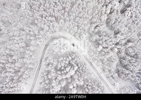 Auto auf der Straße im Winter durch einen Wald mit Schnee bedeckt. Luftaufnahmen von einer Straße im Winter durch einen Wald mit Schnee bedeckt. High Mountain Pass. Stockfoto