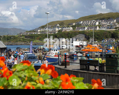 Mallaig Hafen im Sommer Stockfoto