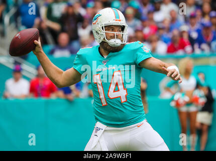 Miami Gardens, Florida, USA. 17. Nov, 2019. Miami Dolphins Quarterback Ryan Fitzpatrick (14) bereitet die Kugel im ersten Quartal ein NFL Football Spiel gegen die Buffalo Bills im Hard Rock Stadion in Miami Gardens, Florida zu übergeben. Credit: Mario Houben/ZUMA Draht/Alamy leben Nachrichten Stockfoto