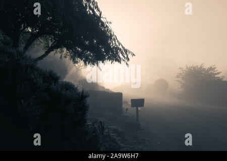 Das Ätherische Morgenlicht Durchdringt Den Nebligen Herbstmorgen Stockfoto