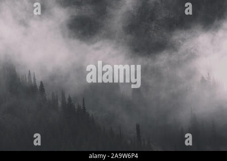 Sturmwolken und Nebel, die sich um die vulkanische Landschaft der North Cascades, Mount Rainier National Park, Washington, bewegen Stockfoto