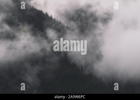 Sturmwolken und Nebel, die sich um die vulkanische Landschaft der North Cascades, Mount Rainier National Park, Washington, bewegen Stockfoto