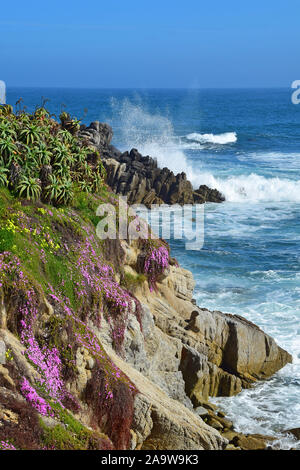 Monterey, Kalifornien Küste Stockfoto