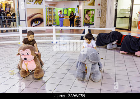 Miami Florida, Hialeah, Westland Mall, Hispanic Latino ethnische Einwanderer Minderheit, junge Jungen Jungen Jungen Jungen männlich Kind Kinder Kinder, gefüllt Stockfoto