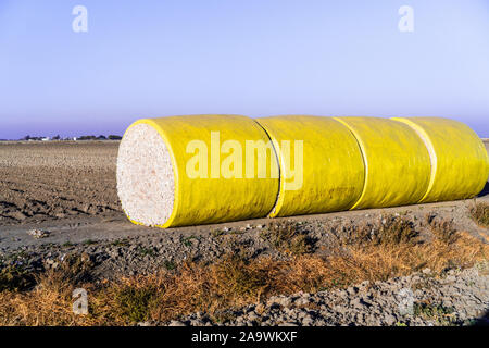 Baumwollballen in einer Reihe neben einem Abgeernteten Feld, bereit zur Abholung; Central California, United States Stockfoto
