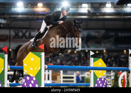 Stuttgart, Deutschland. 17. Nov, 2019. 35Th Stuttgart German Masters, World Cup, Reitsport, Springreiten, Grand Prix Stuttgart: Großbritanniens Scott Brash reitet auf seinem Pferd Hallo Senator. Credit: Sebastian Gollnow/dpa/Alamy leben Nachrichten Stockfoto