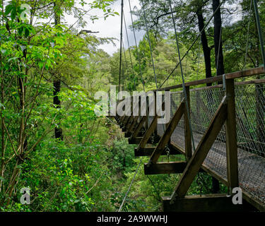 Rai River Brücke über die Rai Fluss unten, bei Pelorus, Marlborough, Neuseeland. Stockfoto