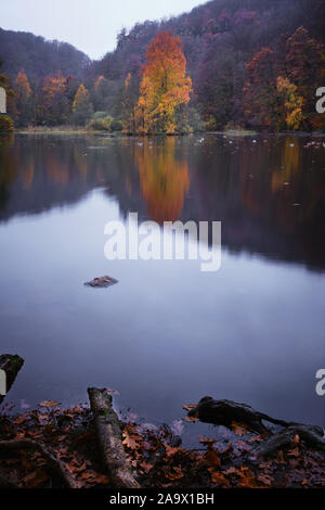 Herbst Bild auf einen kleinen See mit einer kleinen Insel mit bunten Bäumen im Wasser widerspiegelt Stockfoto