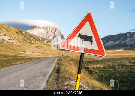 Trafficsign Animal Crossing mit schwarzen Kuh auf weiß mit rotem Rahmen auf dem Campo Imperatore mit Berg Corno Grande im Hintergrund, Abruzzen, Italien Stockfoto
