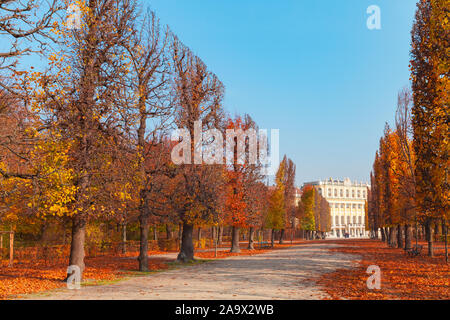 Wien, Österreich - November 3, 2015: Gasse der Schonbrunner Schlosspark Gärten mit Gefallen bunte Blätter im Herbst Saison Stockfoto