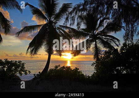 Silhouette von Palmen am Strand der Anse Takamaka, idyllische und romantische Szene im Süden der Hauptinsel Mahe, Seychellen Tropenparadies Stockfoto