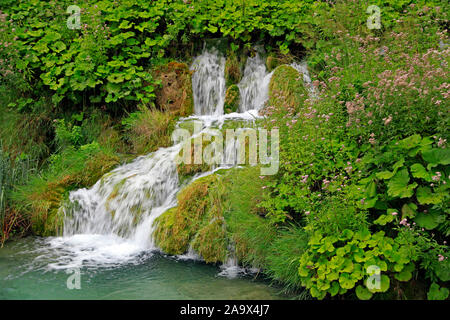 Kaskade eines Wasserfalls im Nationalpark Plitvicer Seen/Nacionalni Park Plitvicer Seen oder Plitvice, Kroatien Stockfoto