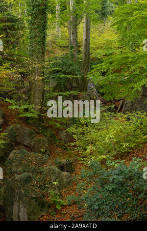 Felsenmeer, berühmte Naturschutzgebiet, Meer von Felsen in der Nähe von Hemer, Sauerland, wild-romantischen Buchenwald im Herbst, Herbst, in Deutschland, in Europa. Stockfoto