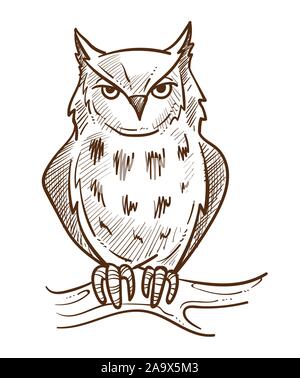 Wald Tier, Eule auf Ast isolierten Skizze Stock Vektor