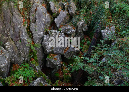 Felsenmeer, berühmte Naturschutzgebiet, Nationaler Geotop, Meer von Felsen, Felsen Chaos von Hemer, Felsen, im Herbst, Herbst, in Deutschland, in Europa. Stockfoto