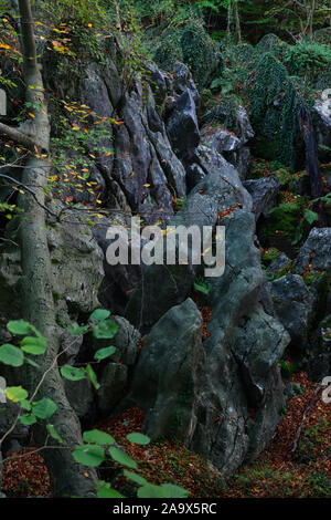 Felsenmeer, berühmte Naturschutzgebiet, Nationaler Geotop, Meer von Felsen, Felsen Chaos von Hemer, Felsen, im Herbst, Herbst, in Deutschland, in Europa. Stockfoto