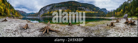 Baumstümpfen in der Nähe von gosauseen oder Vorderer Gosausee, Oberösterreich. Bunte Herbst alpine Blick auf See mit klarem Wasser und Ref. Stockfoto