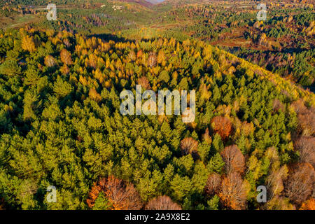 Luftaufnahme von Herbst Wald. Wunderschöne Landschaft, Bäume mit roten und orangefarbenen Blätter in Tag, National Park Livaditis Xanthi, Griechenland Stockfoto