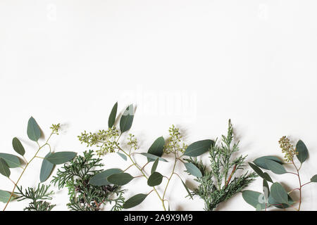 Weihnachten Floral frame, Web Banner. Grenze der grünen Zypressen, Juniperus und Berry Eukalyptusbaum Filialen auf weißem Hintergrund. Winter Stockfoto