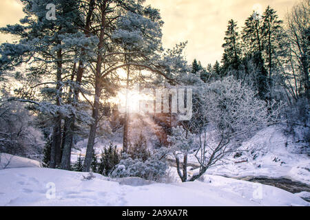 Sonnenuntergang im Schnee duckte sich Wald, Lieto, Finnland. Stockfoto