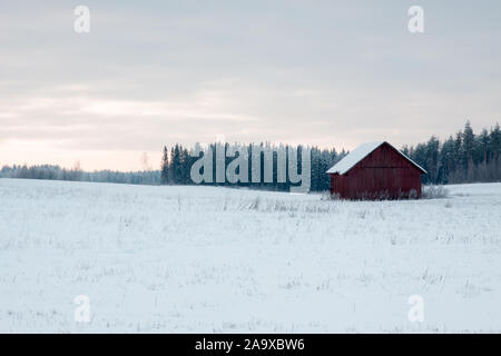 Rote Scheune in einem schneebedeckten Feld im Winter, Salo, Finnland. Stockfoto