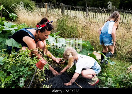 Frau und zwei Mädchen in einem Gemüsegarten, Ernte von Kartoffeln. Stockfoto