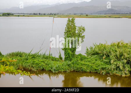 Torre del Lago Toscana Versilia Italien Stockfoto