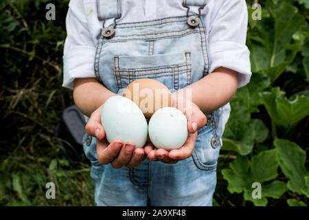 Nahaufnahme von stehendes Mädchen outdoor, hält drei frisch gelegte Eier in ihren Händen. Stockfoto