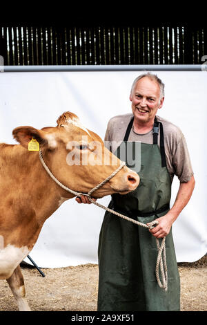 Portrait der männlichen Bauern tragen grüne Schürze Kamera lächelnd mit einem Guernsey Kuh. Stockfoto