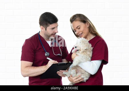 Kleine bichon dog sitting Ruhe während der Tierarzt Prüfung - lächelnd Tierarzt Beratung pet Patienten in Tierklinik - Krankenschwester kuscheln Welpen Stockfoto